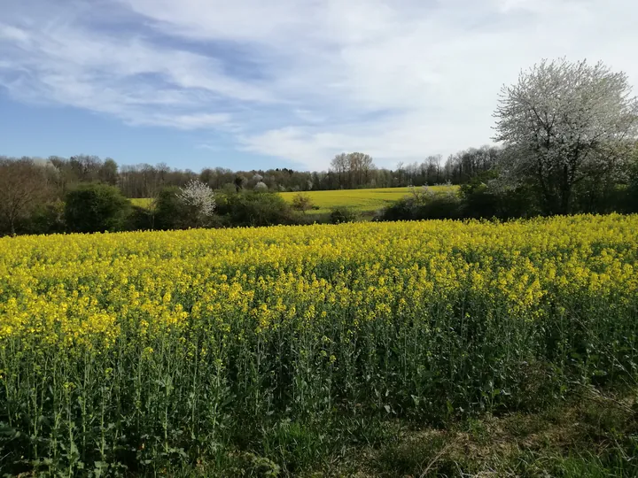 Les Lacs de l'eau d'Heure, Froidchapelle (Belgium)